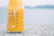 温州みかんジュース（高根島みかん）｜720ml