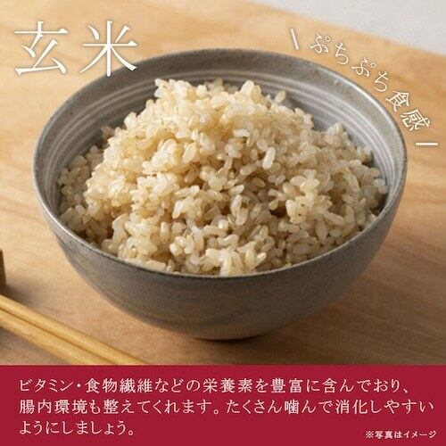 新米 令和7年産 ササニシキ玄米20kg（精米20kg） 【送料無料