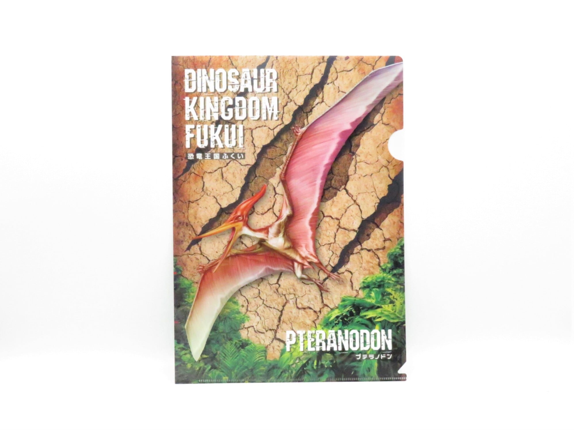 8fc77452563a8e01727d1cc98850f0