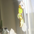 Polaris 02 - アゲートヒーリングチャイム / Agate Healing Chime 1125