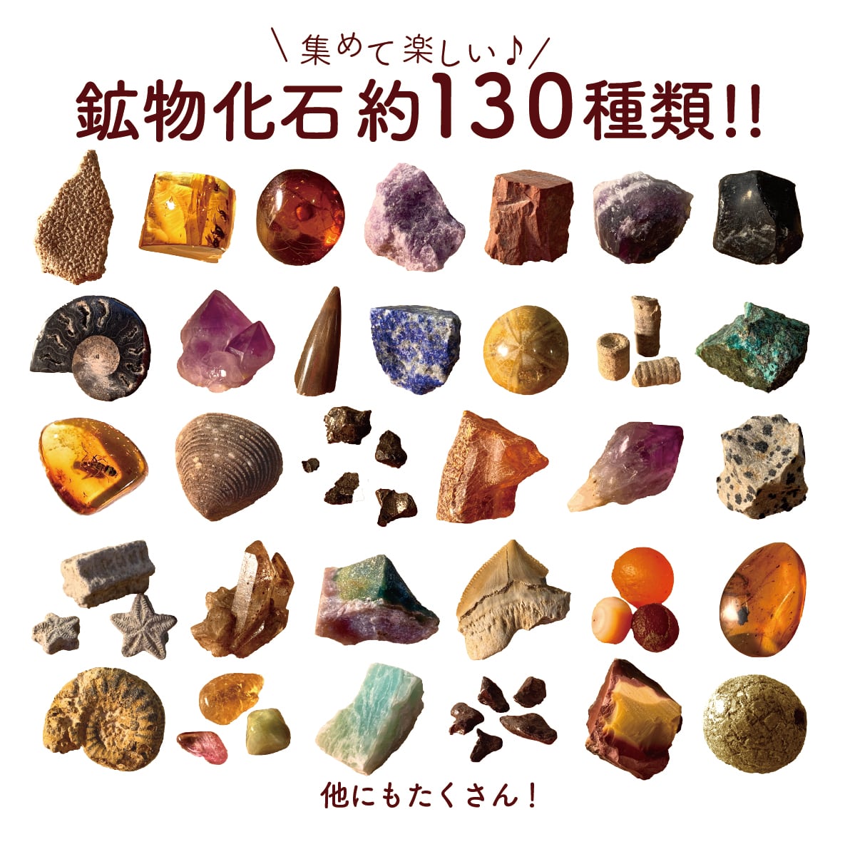 マッチ箱博物館 鉱物と化石のコレクション（3個入りセット） | MNH