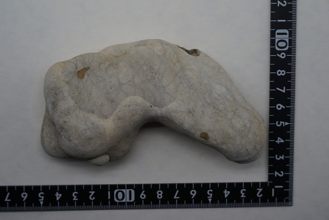 フェアリーストーン 妖精石 Fairy Stone ③