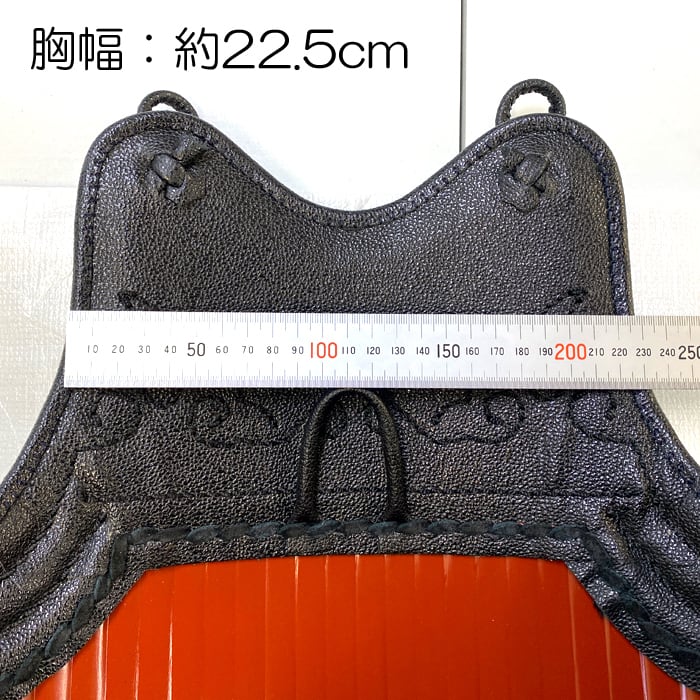 剣道具 剣道防具 単品 胴 翼飾 溜石目胴 50本型強化樹脂 二本足