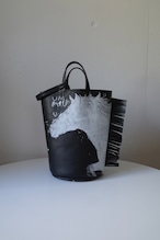 Aqua-hoofbeat stardust-