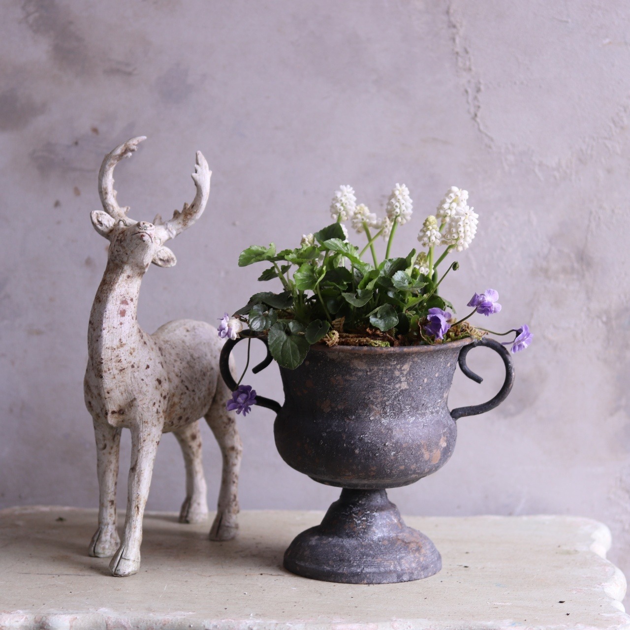 mondimanche 寄せ植え　ムスカリとすみれのシャビーカップ｜届いてすぐ玄関に飾れる 　プレゼントにもオススメ　