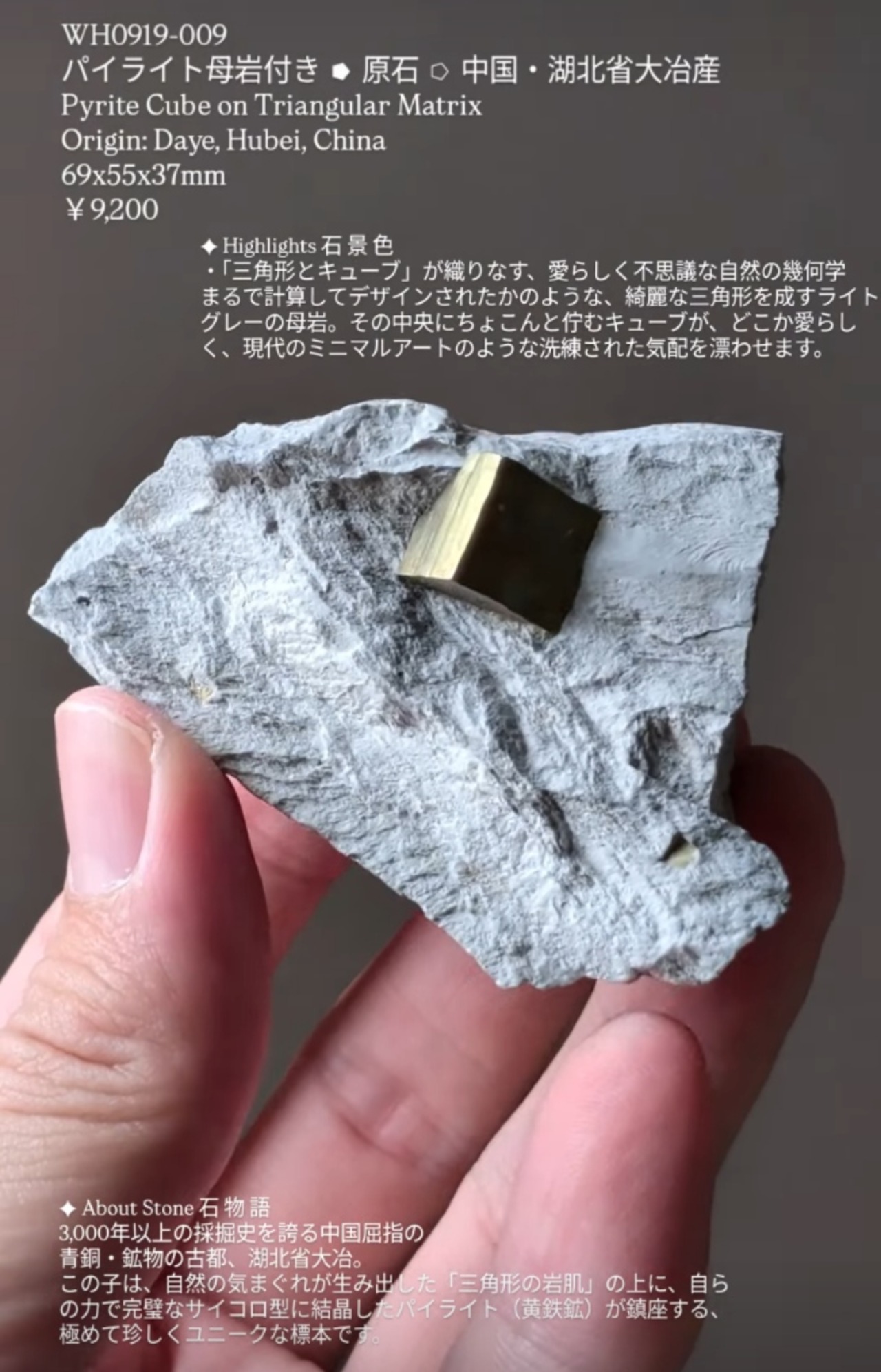 ⭔ お客様専用ページ ✦ nitaki_atelier