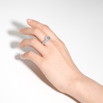 ダイヤモンド デザインリング pt950 / IF / D / 3EX / 1.000ct / 1.000ct