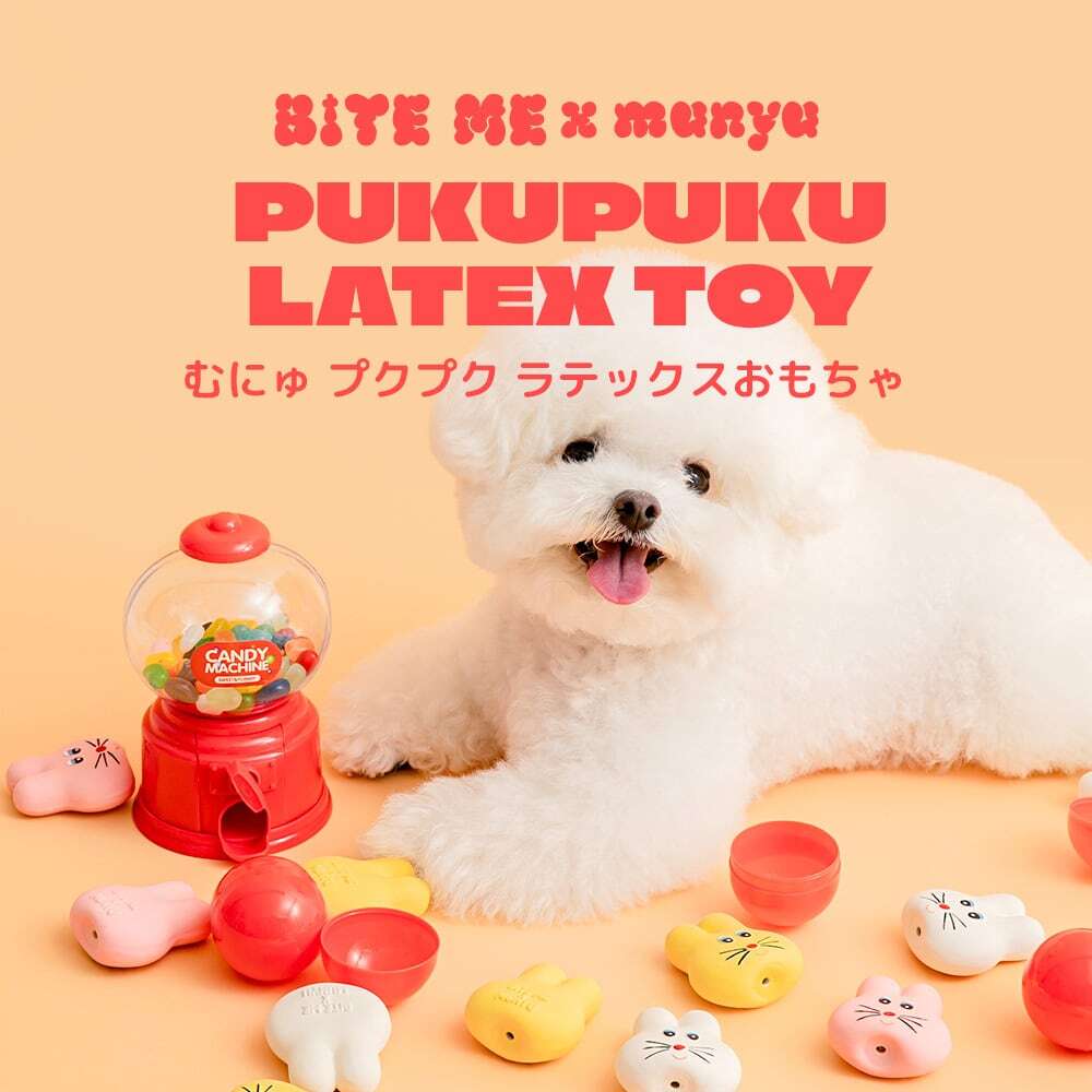 【BITE ME】 むにゅ プクプク ラテックスおもちゃ (3色セット) 犬用おもちゃ コラボ 音が鳴る ピーピー音 大きめ 噛む 玩具 天然ラテックス 小型犬 超小型犬 ウサギ かわいい おしゃれ ペット トイ