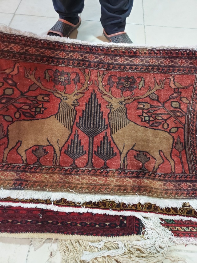 絨毯クエスト48【No.49】 ※現在、こちらの商品はイランに置いてあります。ご希望の方は先ずは在庫のご確認をお願いします。