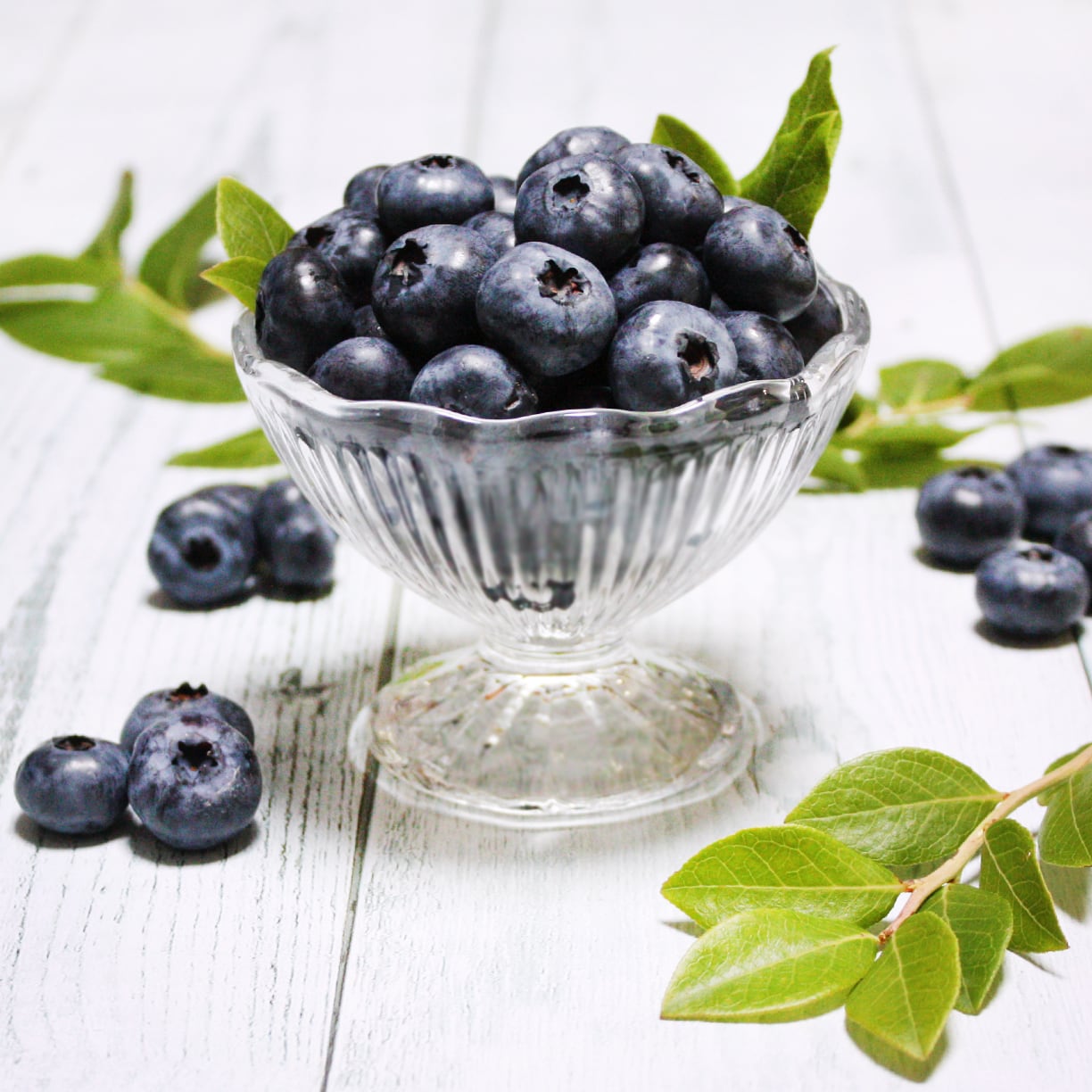 冷凍ブルーベリー(大粒) | Okudaisen Blueberry Farm Official 冷凍ブルーベリー(大粒) | Okudaisen Blueberry Farm Official