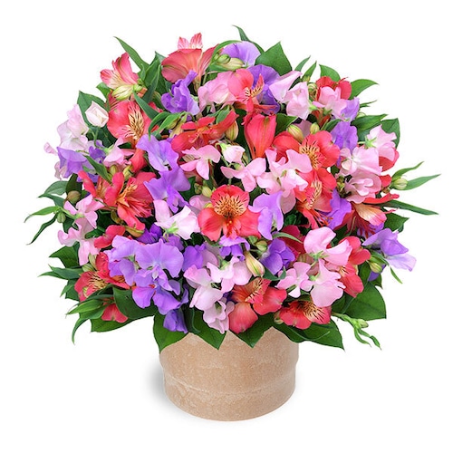 1月オススメ商品⑦　アレンジメント