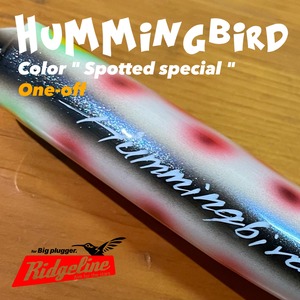 Hummingbird / Spotted special "One-off"