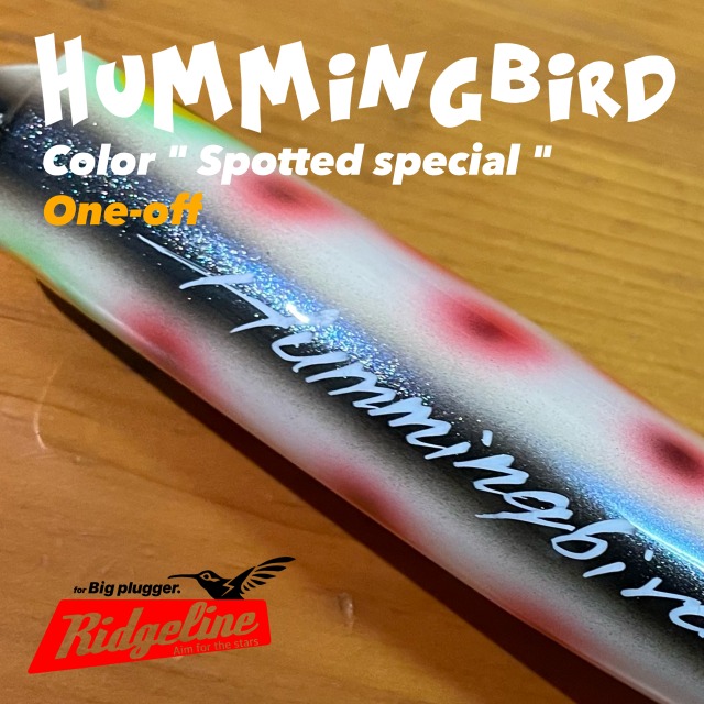 Hummingbird / Spotted special "One-off"