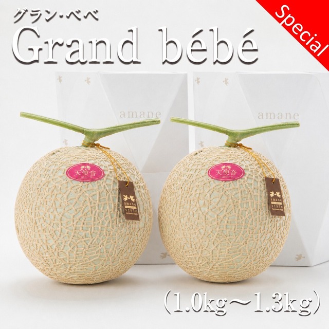 【14周年記念】天使音マスクメロン【Grand bébé】1.0㎏～1.3㎏　2玉セット
