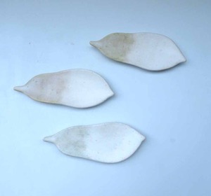 寺井陽子(陶)葉皿