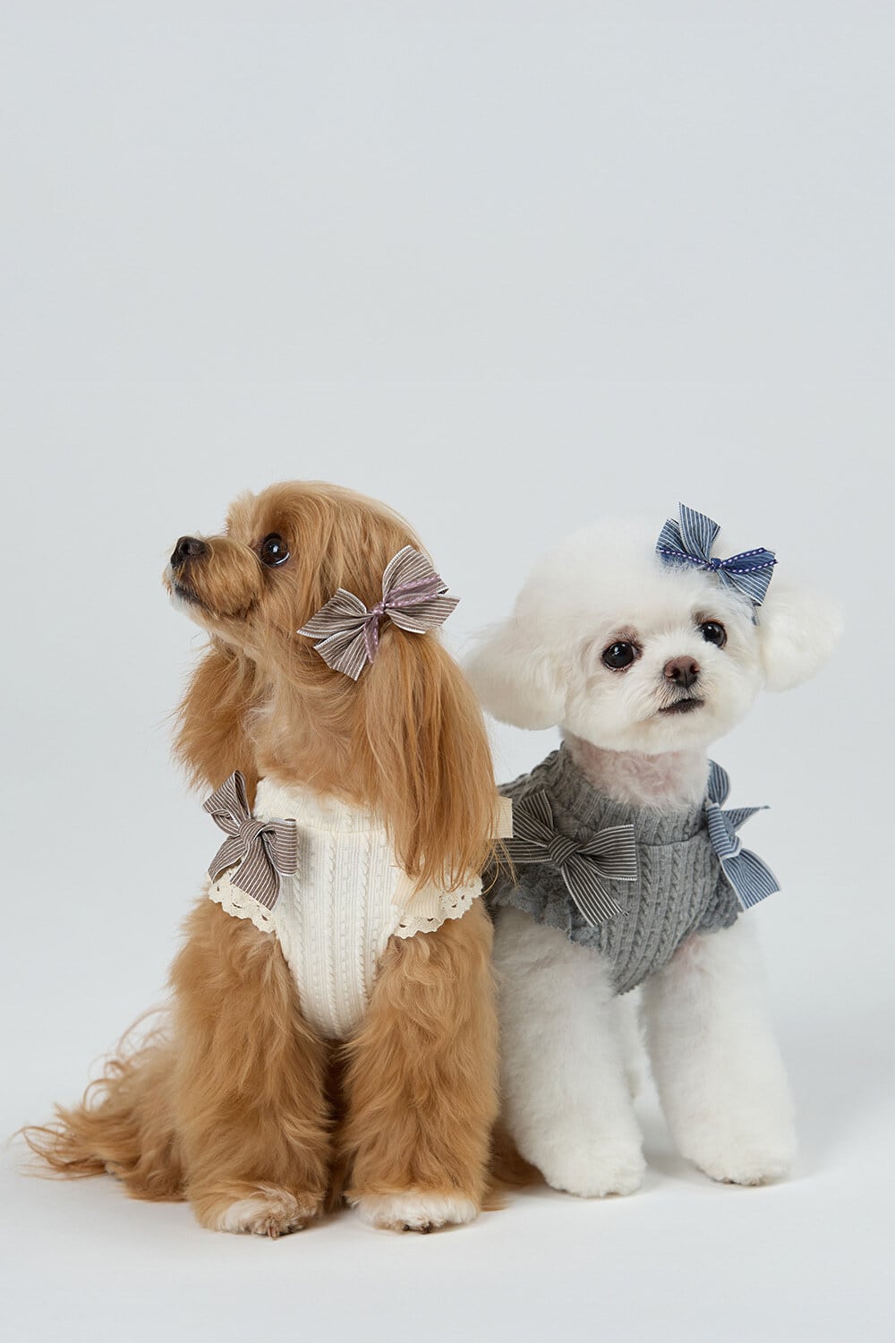 momozoo_dogwear