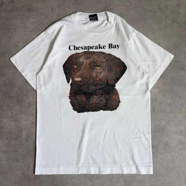 フルーツオブザルーム アニマルTシャツ 犬 古着 90s USA M 20321