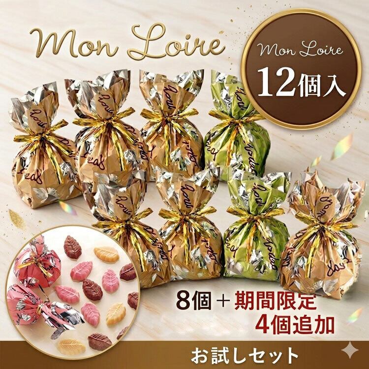【送料無料】色々お試し商品 モンロワール リーフメモリー 8個+4個追加 計12個入り 期間限定チョコ入り 食べ比べ