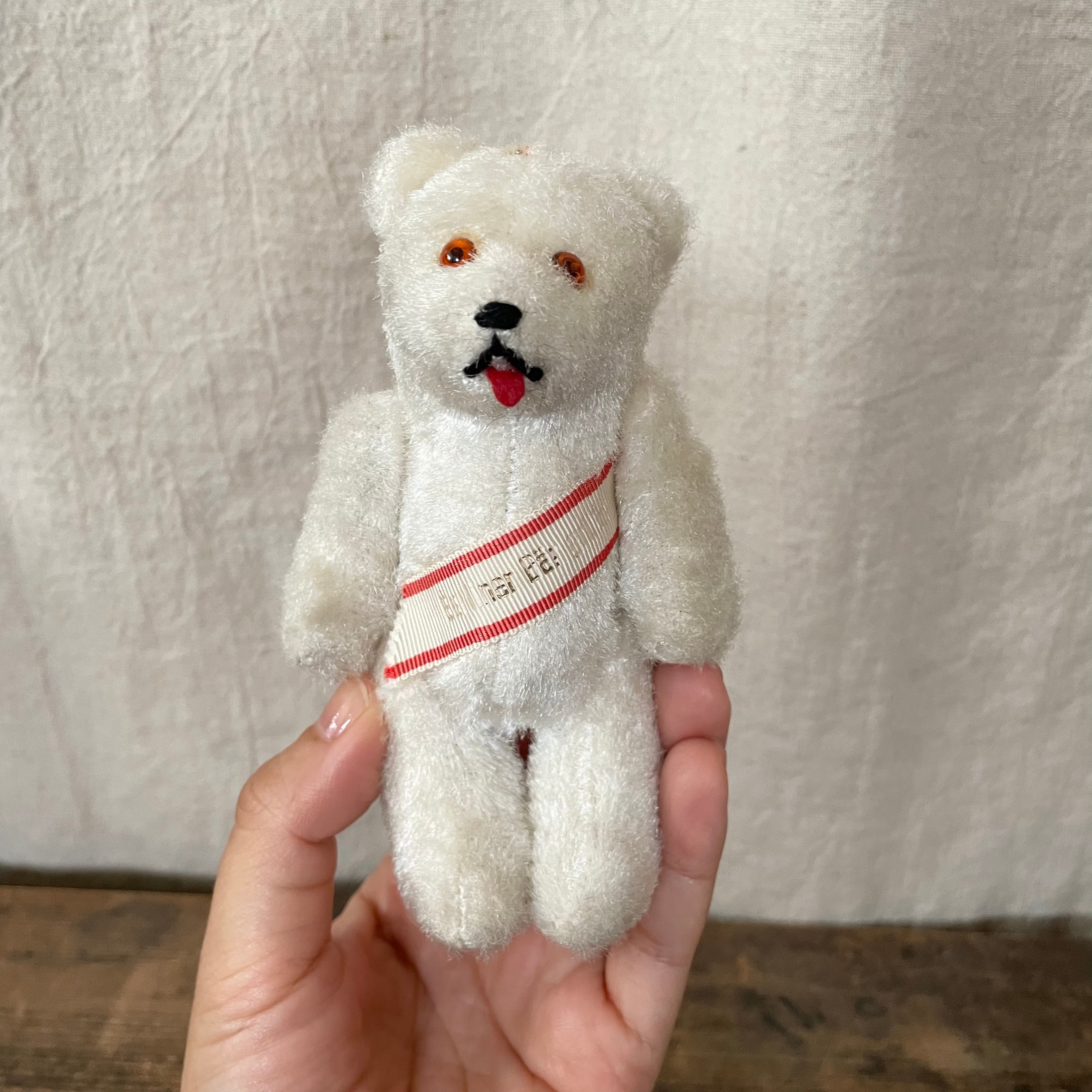 白いベルリンベア