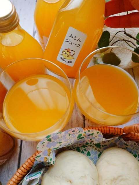 農家直送】果汁100％柑橘ジュース180ml×12本 | 浦虎みかん農園