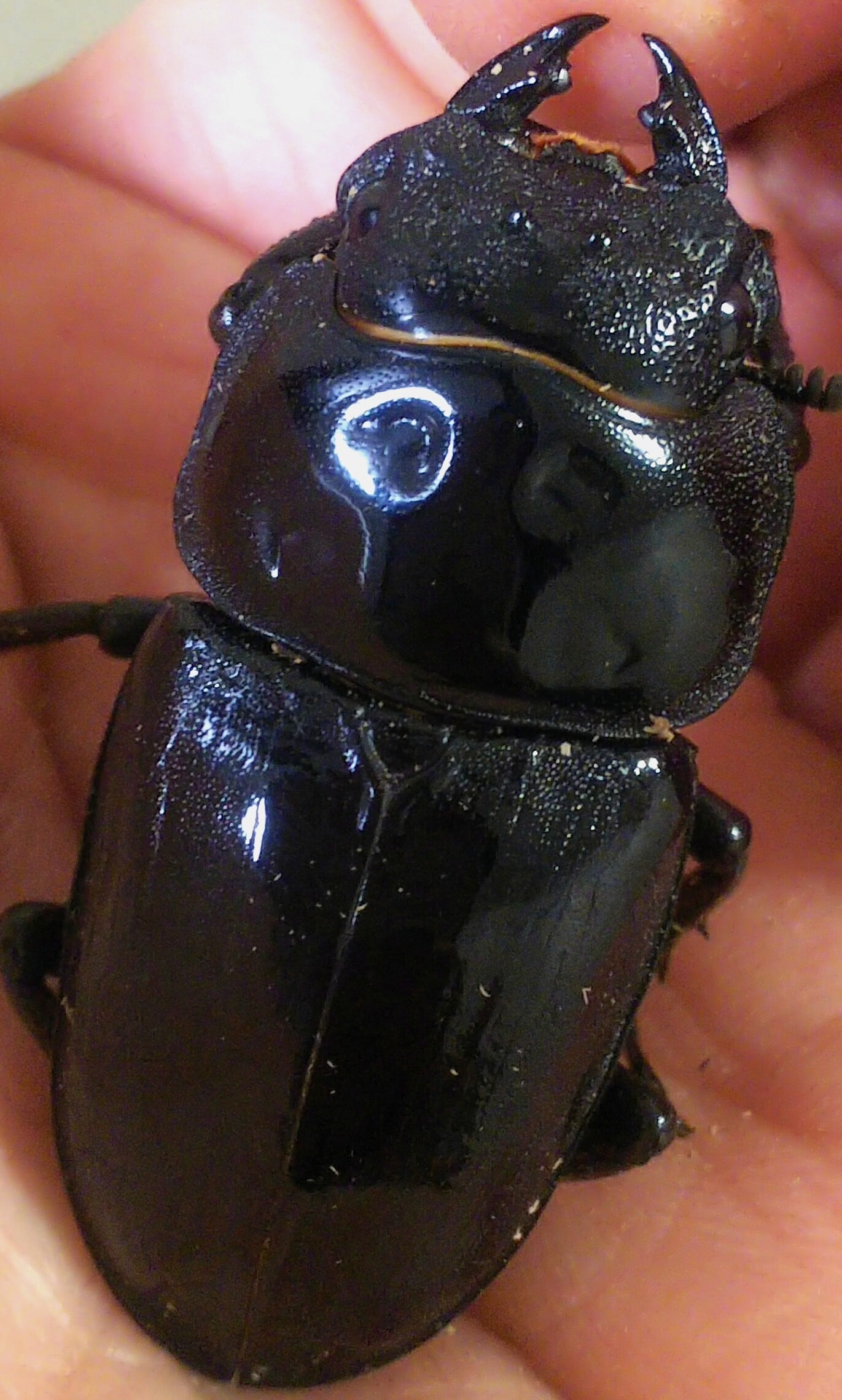 □□LEGZASペア②□□G-STYLE