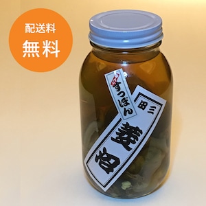 国産すっぽん「身入り」【配送】