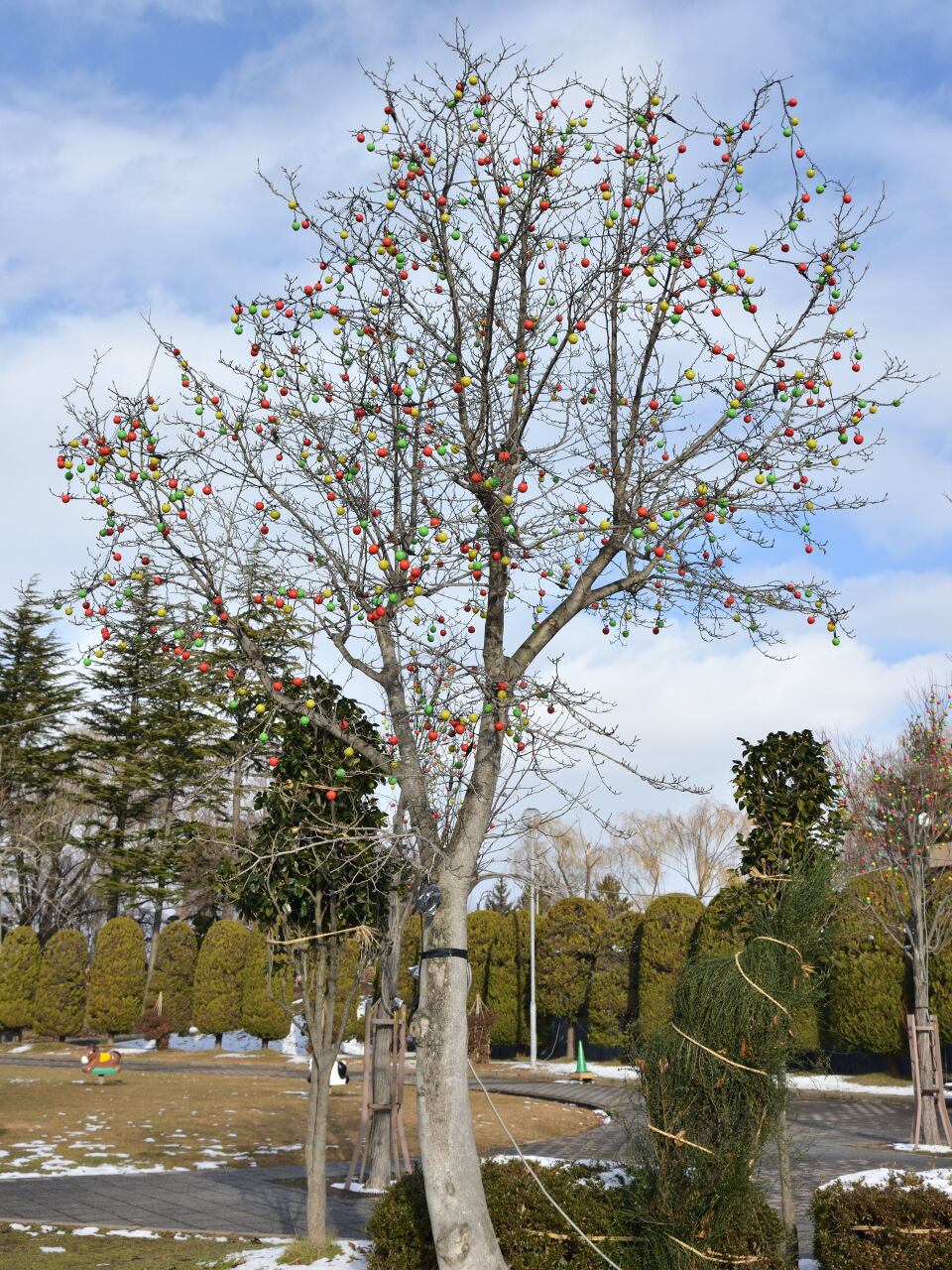 APPLE ILLUMINATION(アップルイルミネーション)コントローラ付 | 芳賀商店