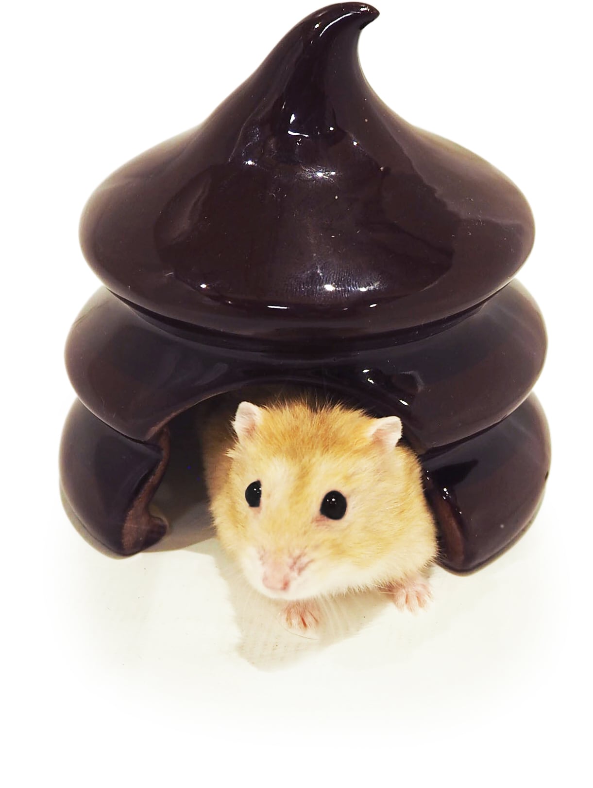 【小動物】ジャンガリアンのカラフルドーム いちごソフト/チョコソフト