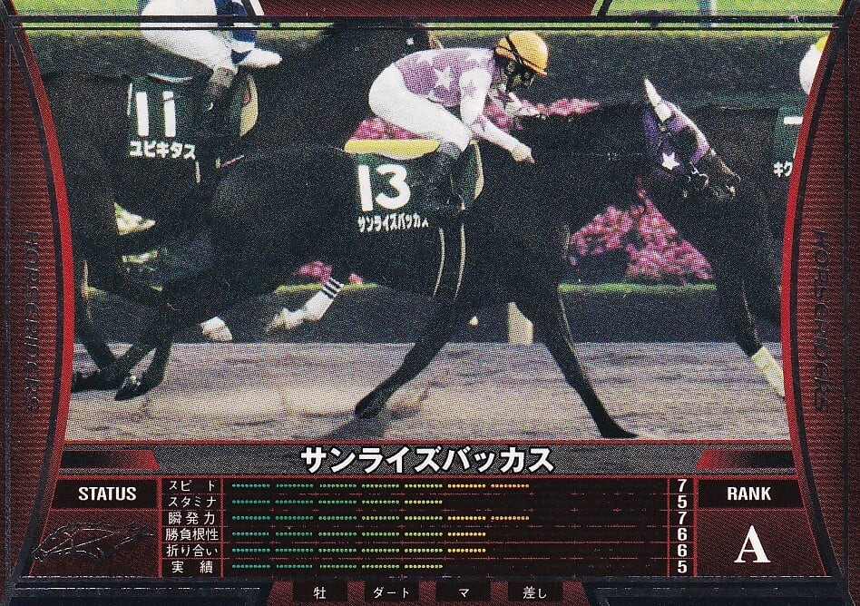 Ver.2.5 | カードショップ うるま屋