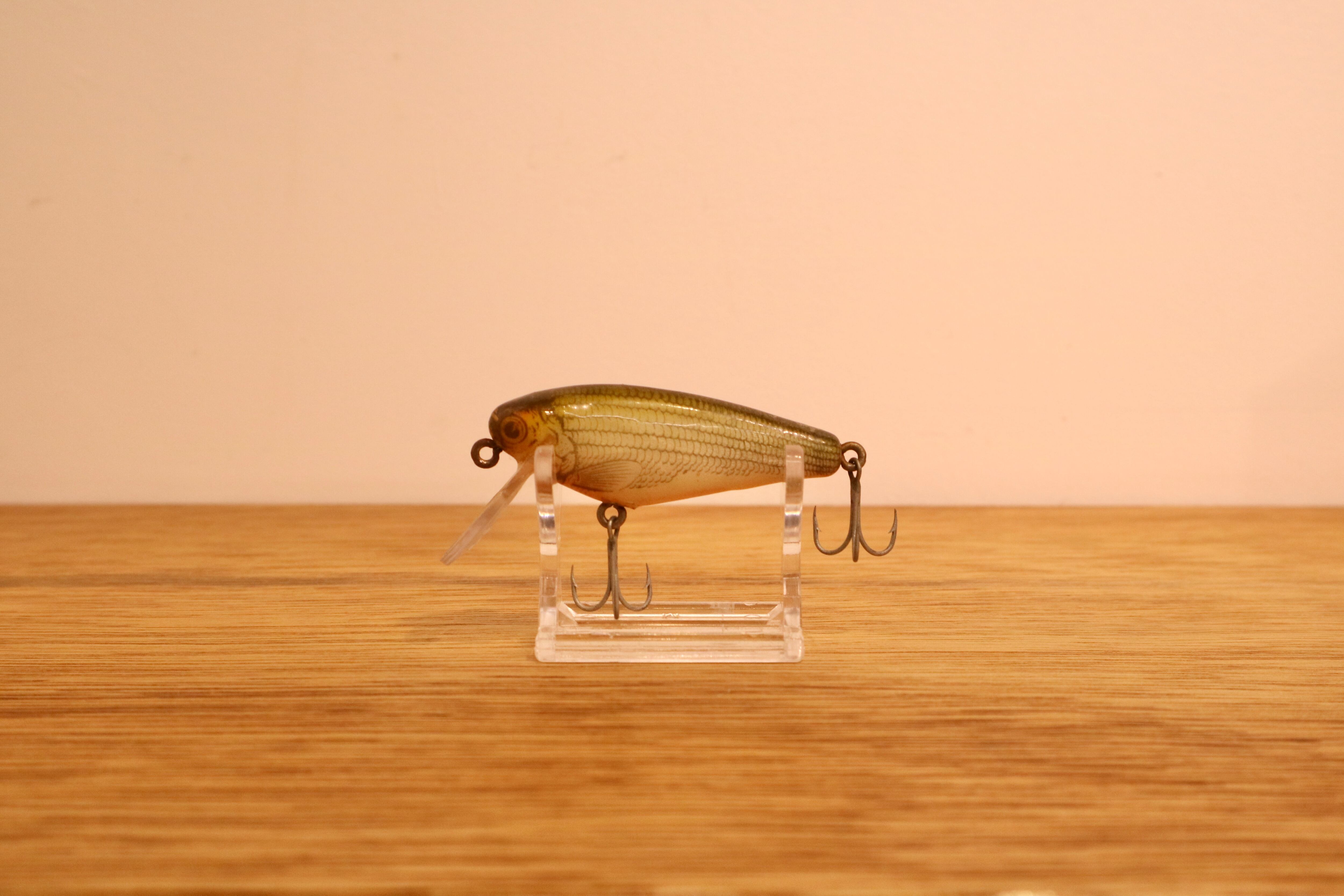 CORMORAN (コーモラン) / サーフシャッド