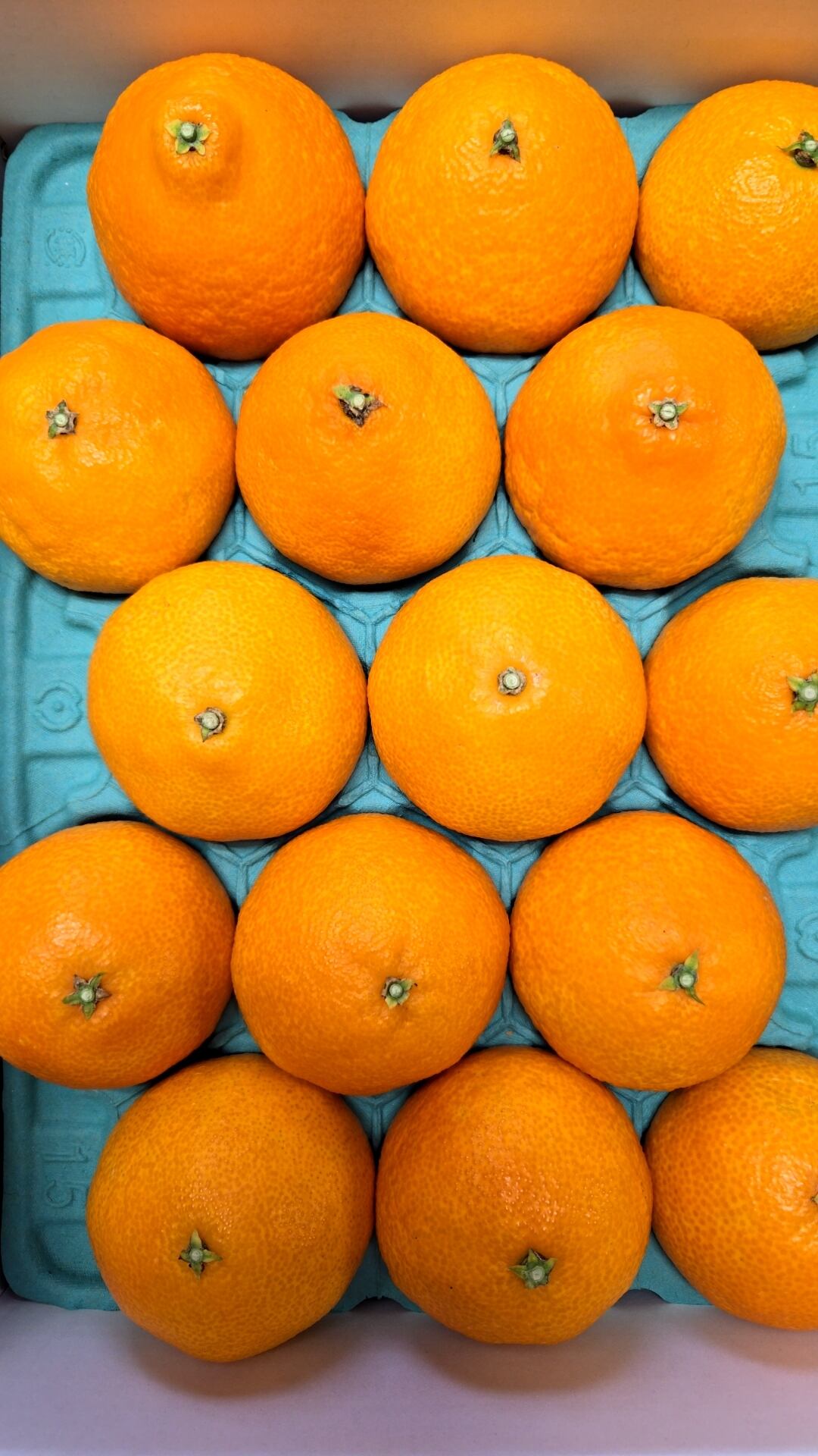 まどんなジュース(2本入り） | みねちゃんちのみかん