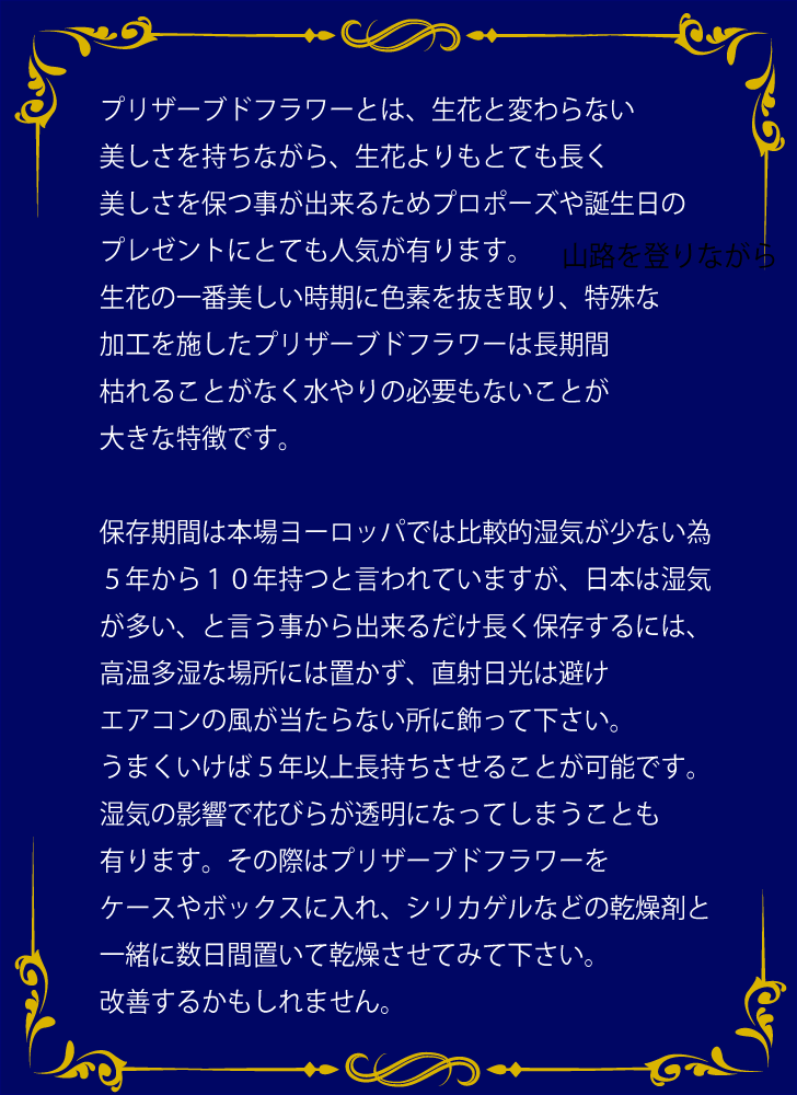 枯れないお花 赤バラ5本のプリザーブドフラワー ボックス入り 花言葉は 貴方に出会えて心からうれしい 結婚5周年や告白のプレゼントに最適 花言葉tag無料 Rose Of Shinsaibashi 枯れないお花 赤バラ5本のプリザーブドフラワー ボックス入り 花言葉は 貴方に出会えて心からうれしい 結婚5周年や告白のプレゼントに最適 花言葉tag無料 Rose Of Shinsaibashi
