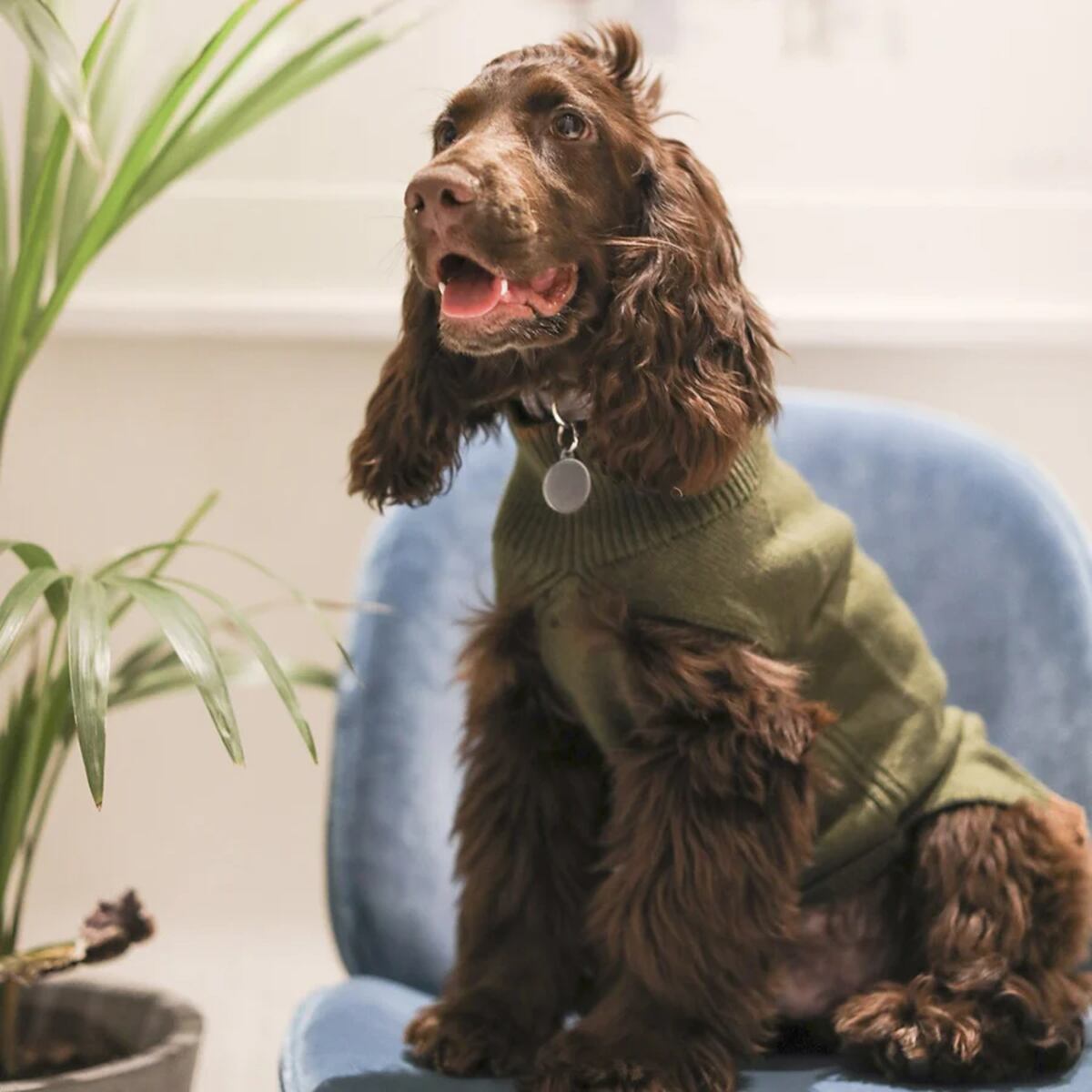 STRIPE HEM JUMPER / OVER GLAM