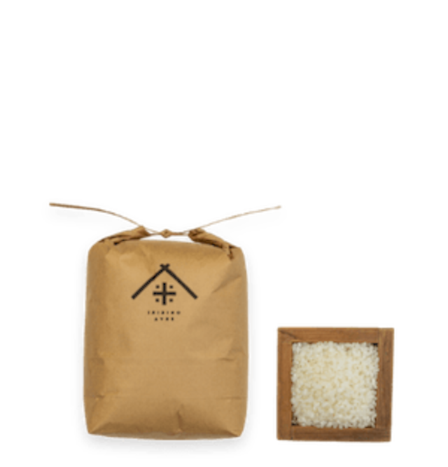 【令和５年度三重県松阪香肌産】コシヒカリ白米 3ｋｇ