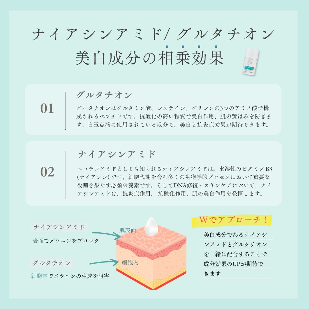 DM.Cell Cosmetics B.T.X. フィトムチンクリーム 50ml［美容クリーム