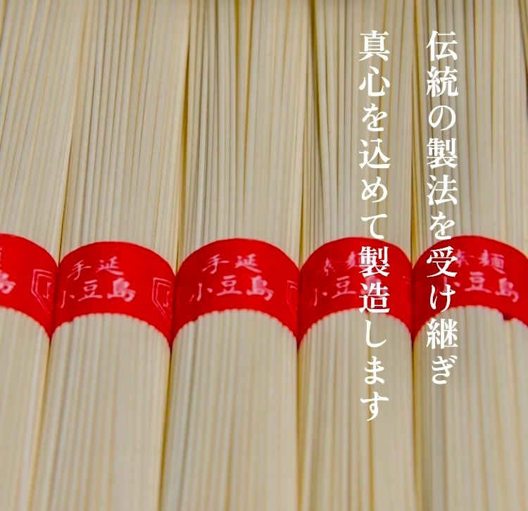 10袋セット！香川県小豆島【小豆島三木製麺】『手延べ半生こびきうどん
