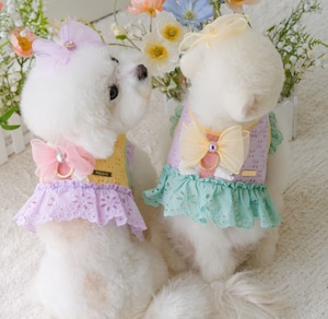 予約【pets＆me】Pastel Punching Harness《2Color》