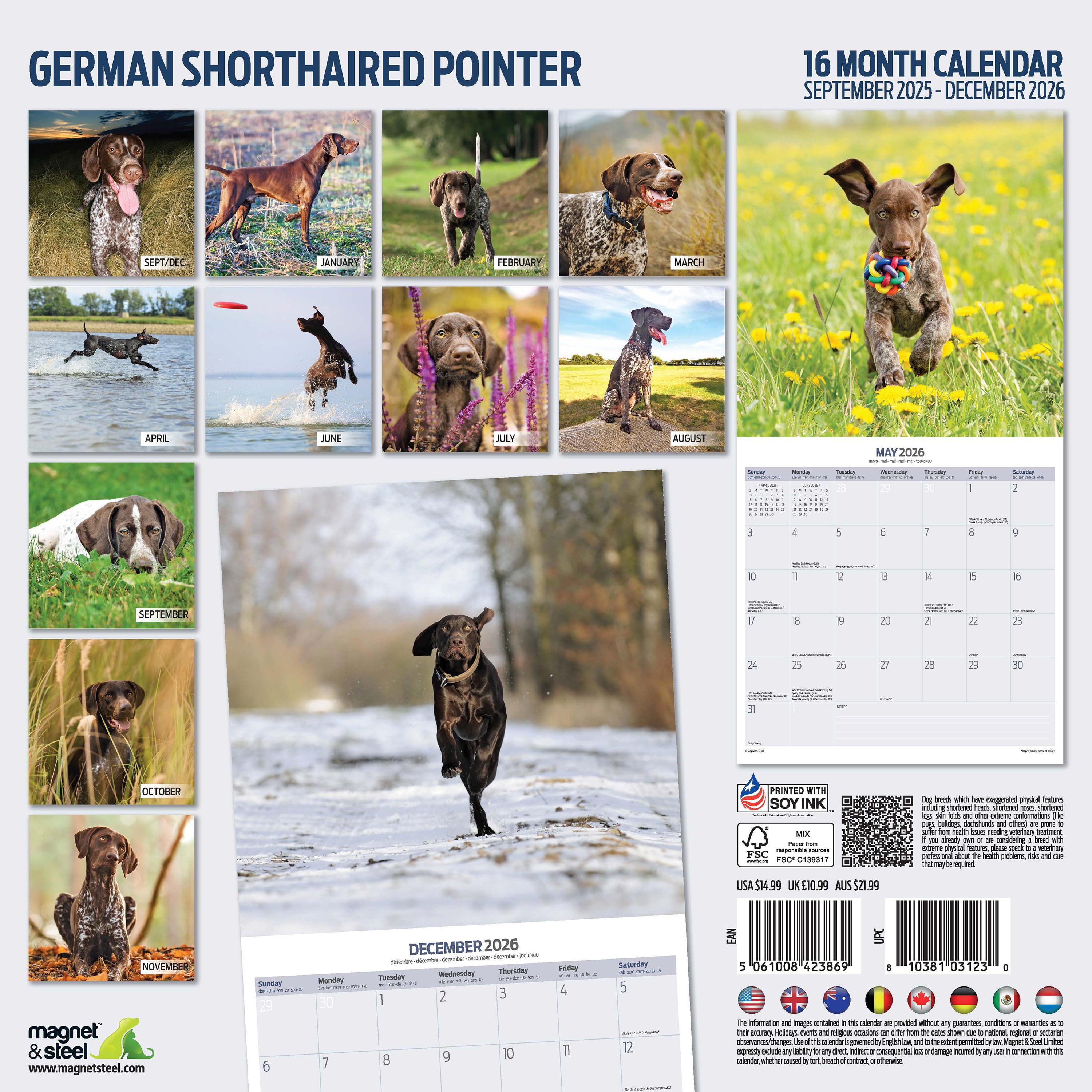【2026年版】英国製犬種カレンダー【ジャーマン・ショートヘアー・ポインター Traditional】 2026年版