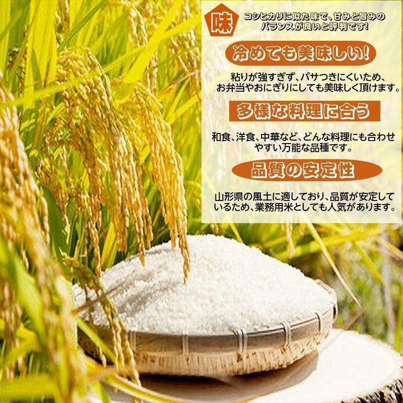 新米早期予約 10Kg 玄米 販売 送料無料 当日精米 令和7年度産 山形県