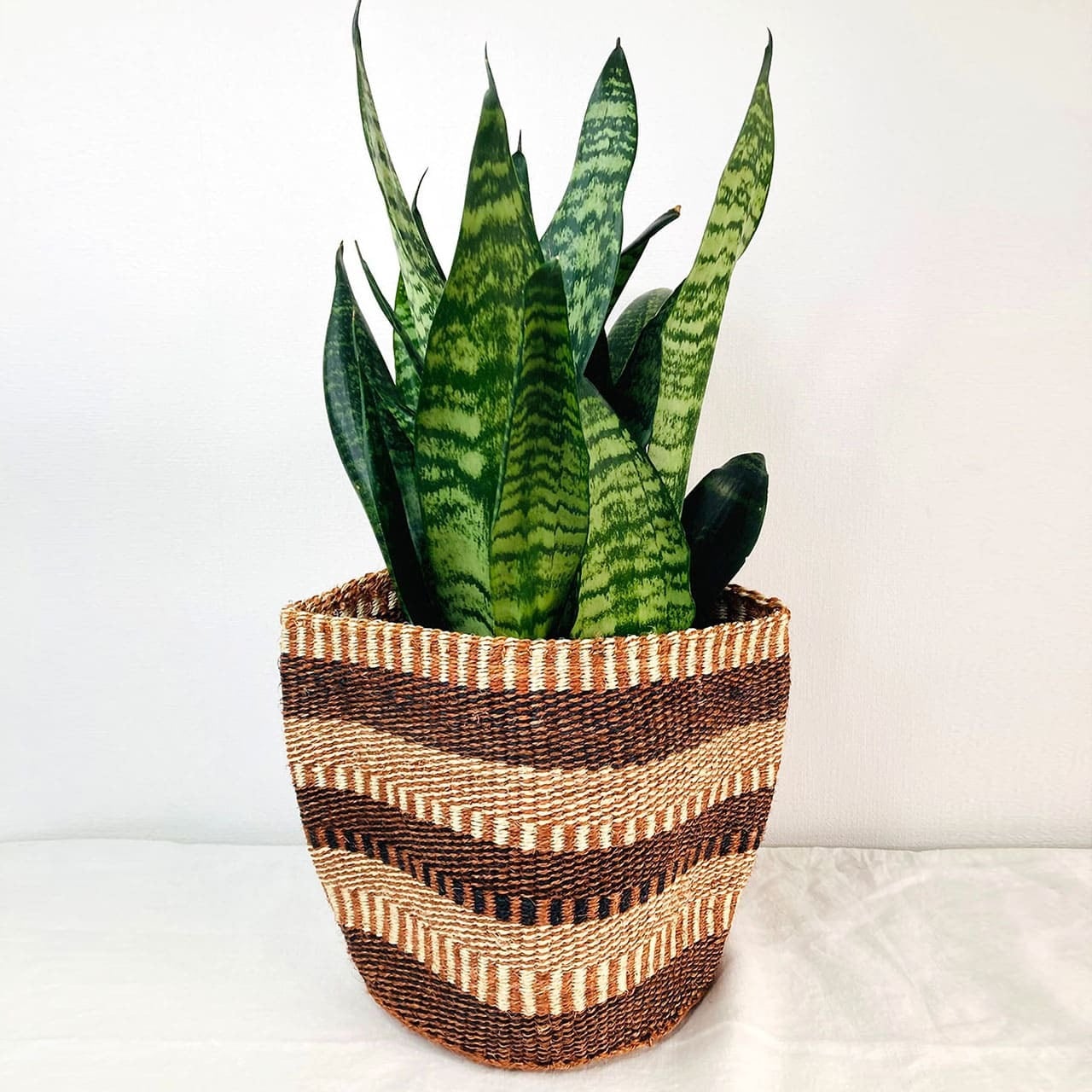 サイザルインテリアかご 黒×茶×キナリ(5〜6号鉢サイズ)