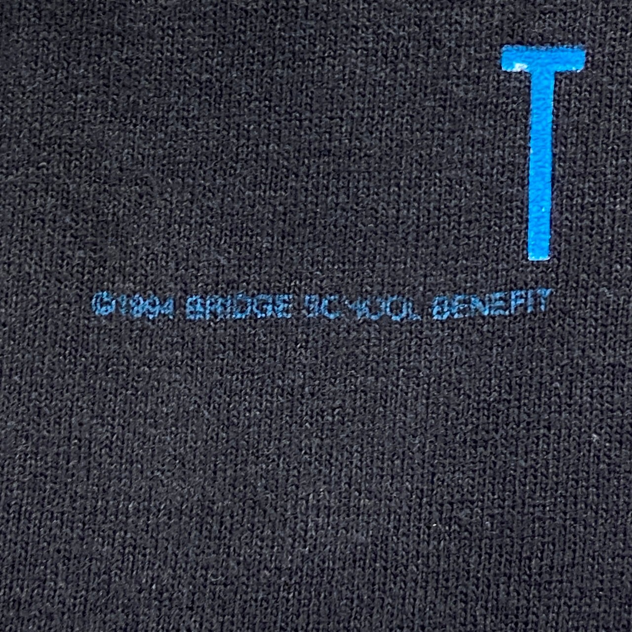 90年代 BRIDGE SCHOOL BENEFIT フェス イベント バンドTシャツ バンT  