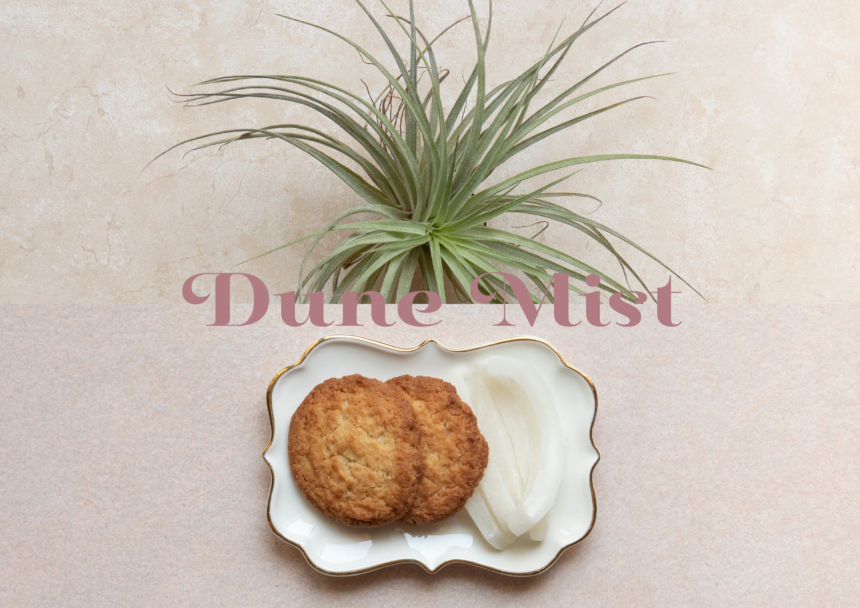 Dune Mist | 2カラー | A3