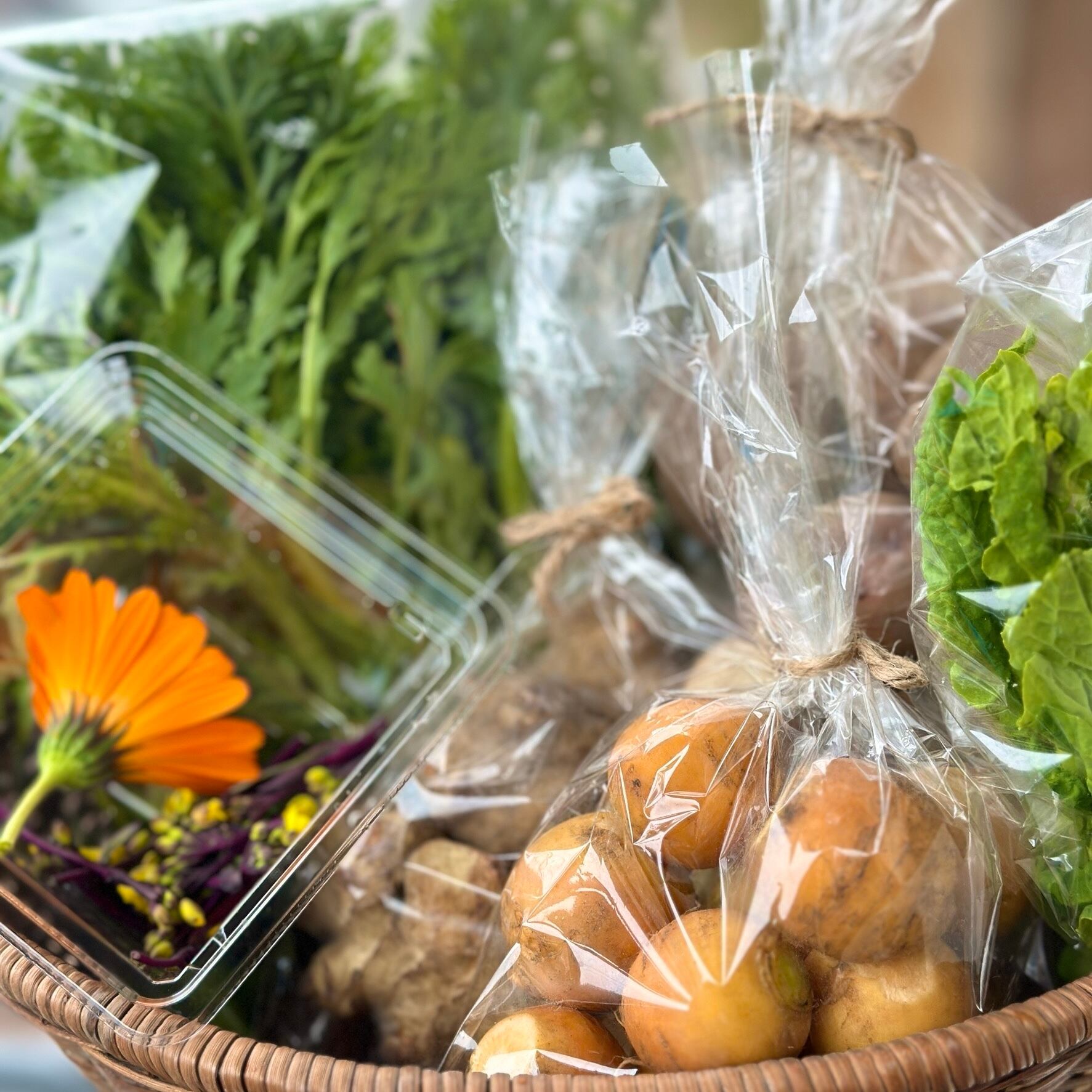 にゃっち⭐️季節のお野菜セット にゃっち様専用⭐️季節のお野菜セット 1箱お試し] 旬