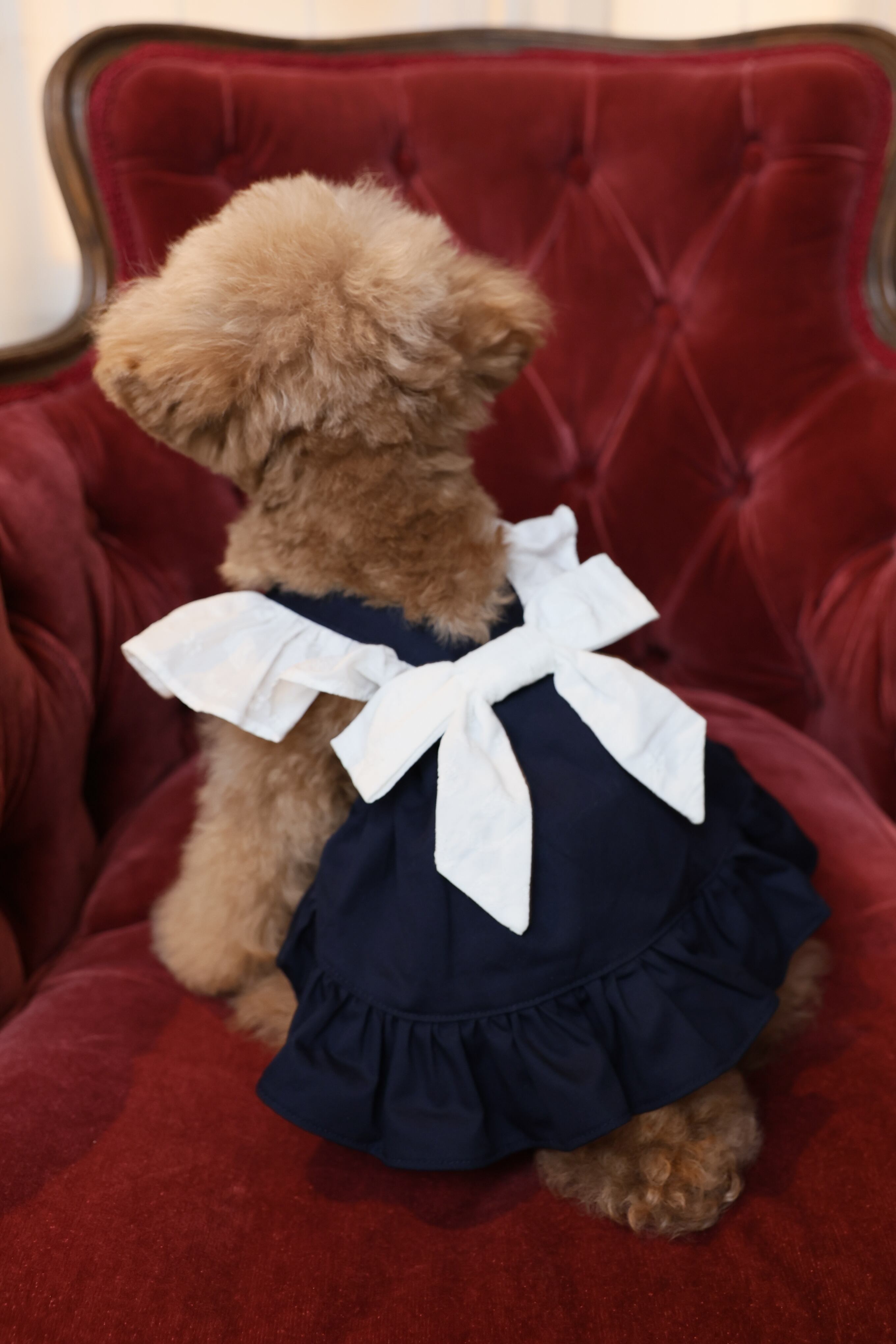 Classical Dress/ネイビー