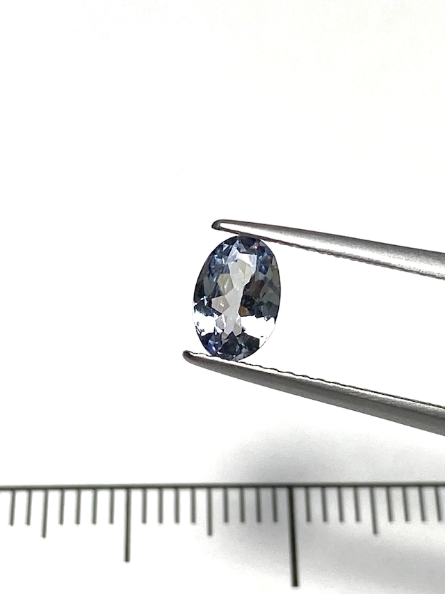 12.バイカラーゾイサイト［No.HA-697］