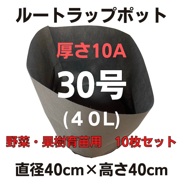 ルートラップポット４０号【10A野菜・果樹育苗用60L】10枚セット