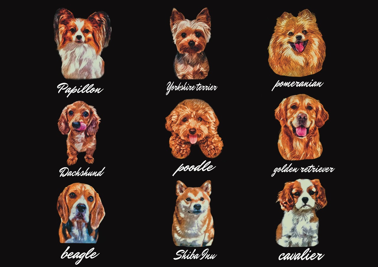 All dog brown fur Tee