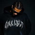 BLAZED LOGO PIGUMENT HOODIE