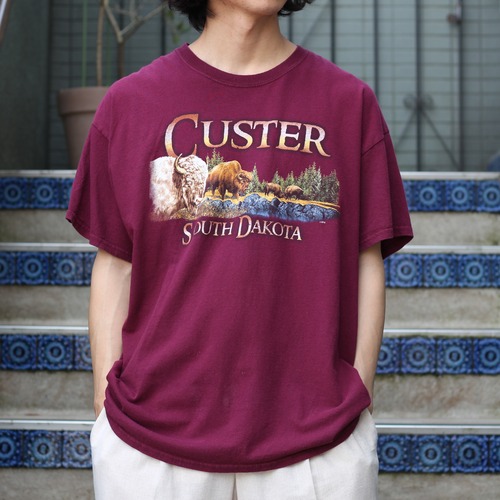 USA VINTAGE ANIMAL DERSIGN T SHIRT/アメリカ古着アニマルデザインTシャツ