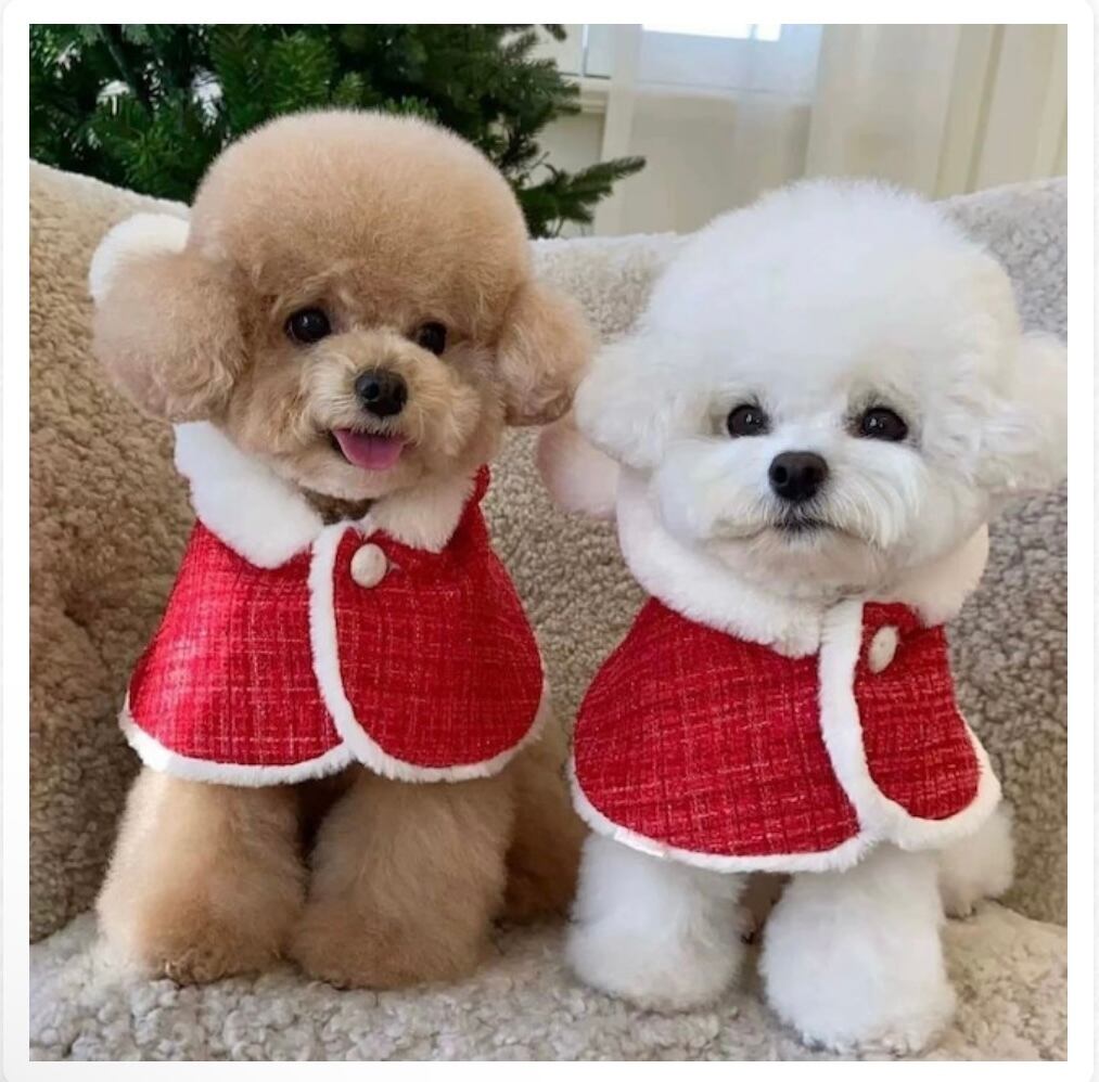 クリスマス ベアーケープ | anerarei